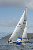 delinquent gbr8569t whyw24 thurs whyw24 thur 800 5822